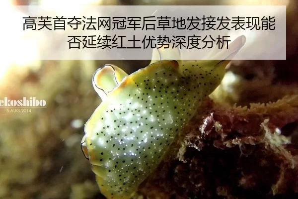 gao-fu-shou-duo-fa-wang-guan-jun-hou-cao-di-fa-jie-fa-biao-xian-neng-fou-yan-xu-hong-tu-you-shi-shen-du-fen-xi-2-809.jpg