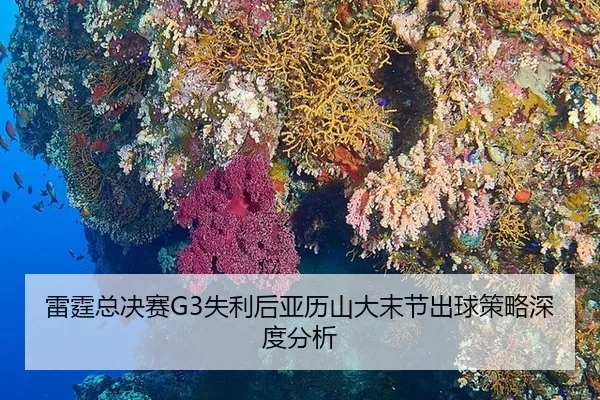 lei-ting-zong-jue-sai-shi-li-hou-ya-li-shan-da-mo-jie-chu-qiu-ce-lve-shen-du-fen-xi-2-584.jpg
